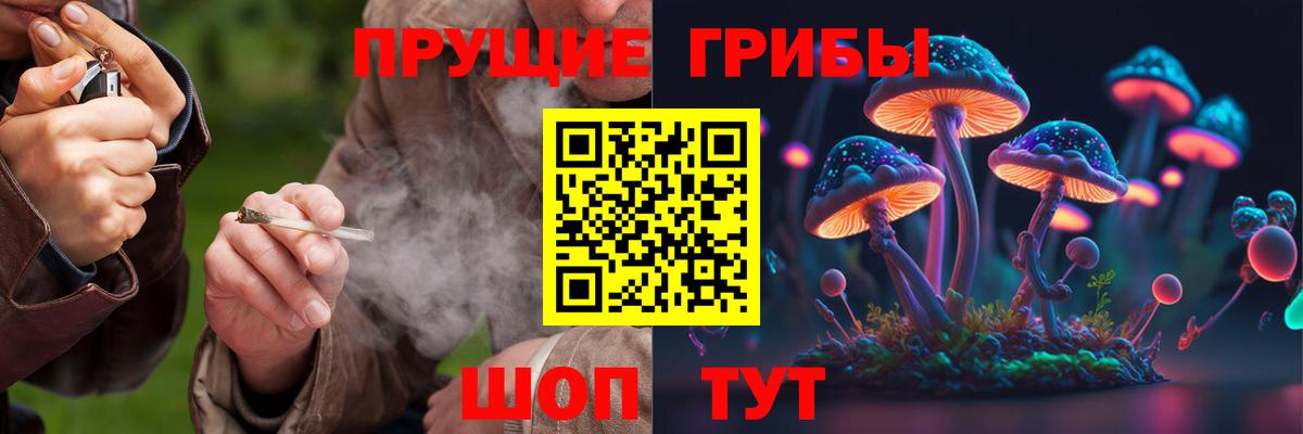 Егорьевск  Галлюциногенные грибы MAGIC MUSHROOMS  хочу   Вход с VPN 